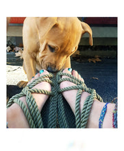 Cargar imagen en el visor de la galería, JC Olivo