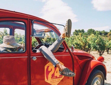 Cargar imagen en el visor de la galería, JC color gris